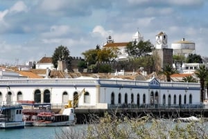 Tavira Total Tuk Tuk Tour: Tavira Tour & Tuna Museum Visit