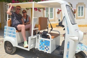 Tavira Total Tuk Tuk Tour: Tavira Tour i wizyta w muzeum tuńczyka