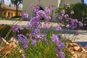 Tavira Total Tuk Tuk Tour: Tavira Tour i wizyta w muzeum tuńczyka