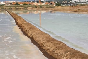 Tavira Total Tuk Tuk Tour: Tavira Tour i wizyta w muzeum tuńczyka