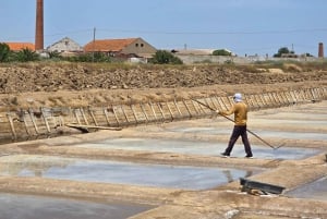 Tavira Total Tuk Tuk Tour: Tavira Tour i wizyta w muzeum tuńczyka