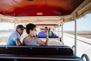 Tavira : circuit touristique en train à travers les sites incontournables de la ville