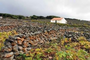 Terceira island: Best of Terceira Island tour with Lunch