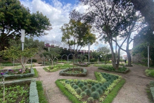 The Authentic Algarve by Bike: Between Villages, Beaches, and Nature