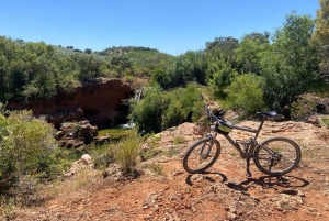 The Authentic Algarve by Bike: Between Villages, Beaches, and Nature