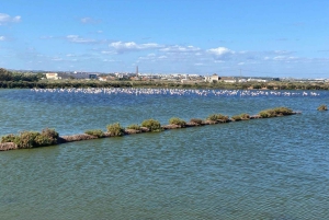 The Authentic Algarve by Bike: Between Villages, Beaches, and Nature