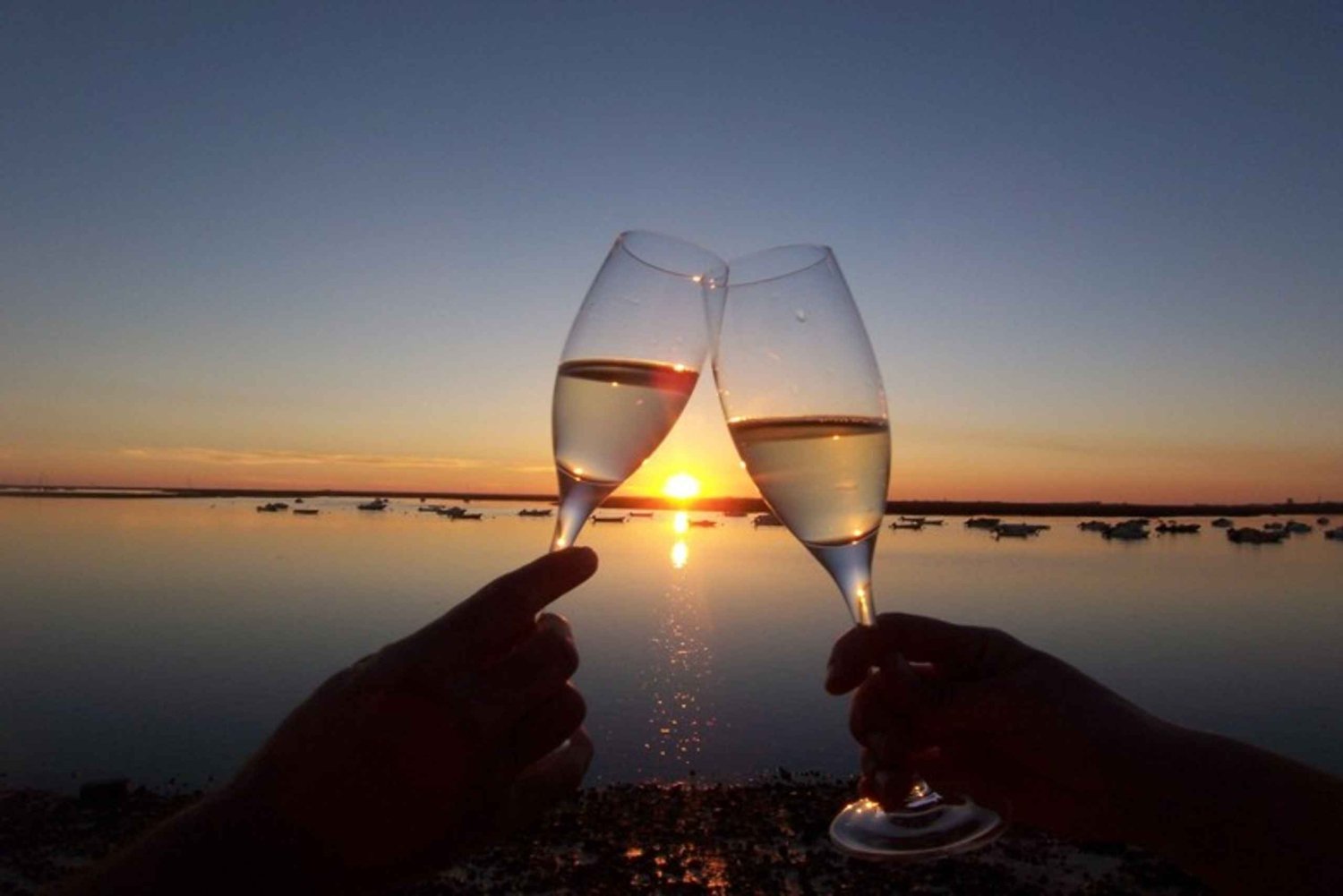 As cores da Ria Formosa: Passeio de barco ao pôr do sol em Faro