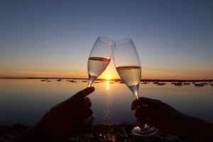 As cores da Ria Formosa: Passeio de barco ao pôr do sol em Faro