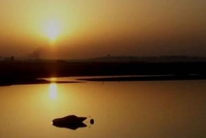 As cores da Ria Formosa: Passeio de barco ao pôr do sol em Faro