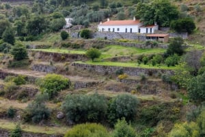 Det vestlige, ville Algarve med luksuriøs piknik og ekstra Wow