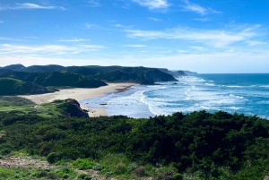 The western wild Algarve with a luxury picnic and extra Wow