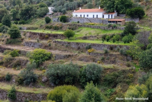 The western wild Algarve with a luxury picnic and extra Wow