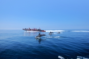 Top 5 Things Your Kids will Love in Algarve