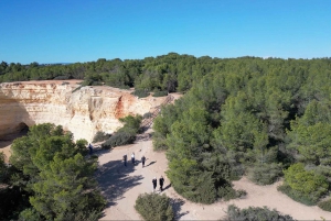 Segredos do Algarve: Tour Guiado (heldagstur)