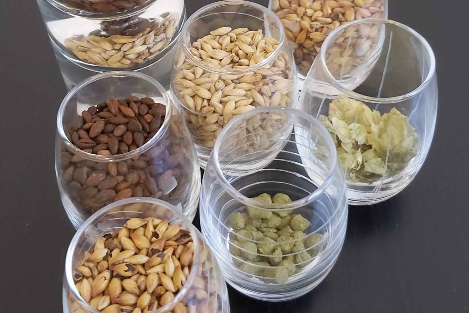 Tour of a craft brewery with tasting