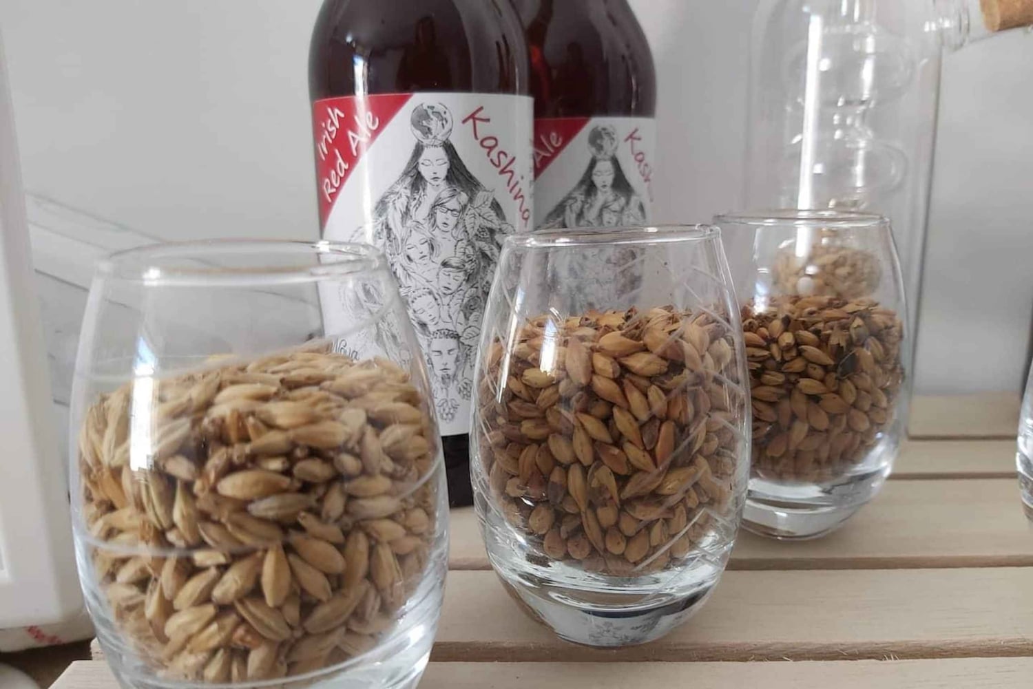 Tour of a craft brewery with tasting