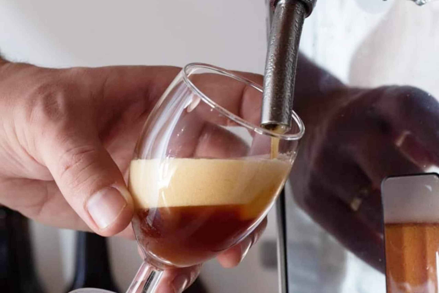 Tour of a craft brewery with tasting