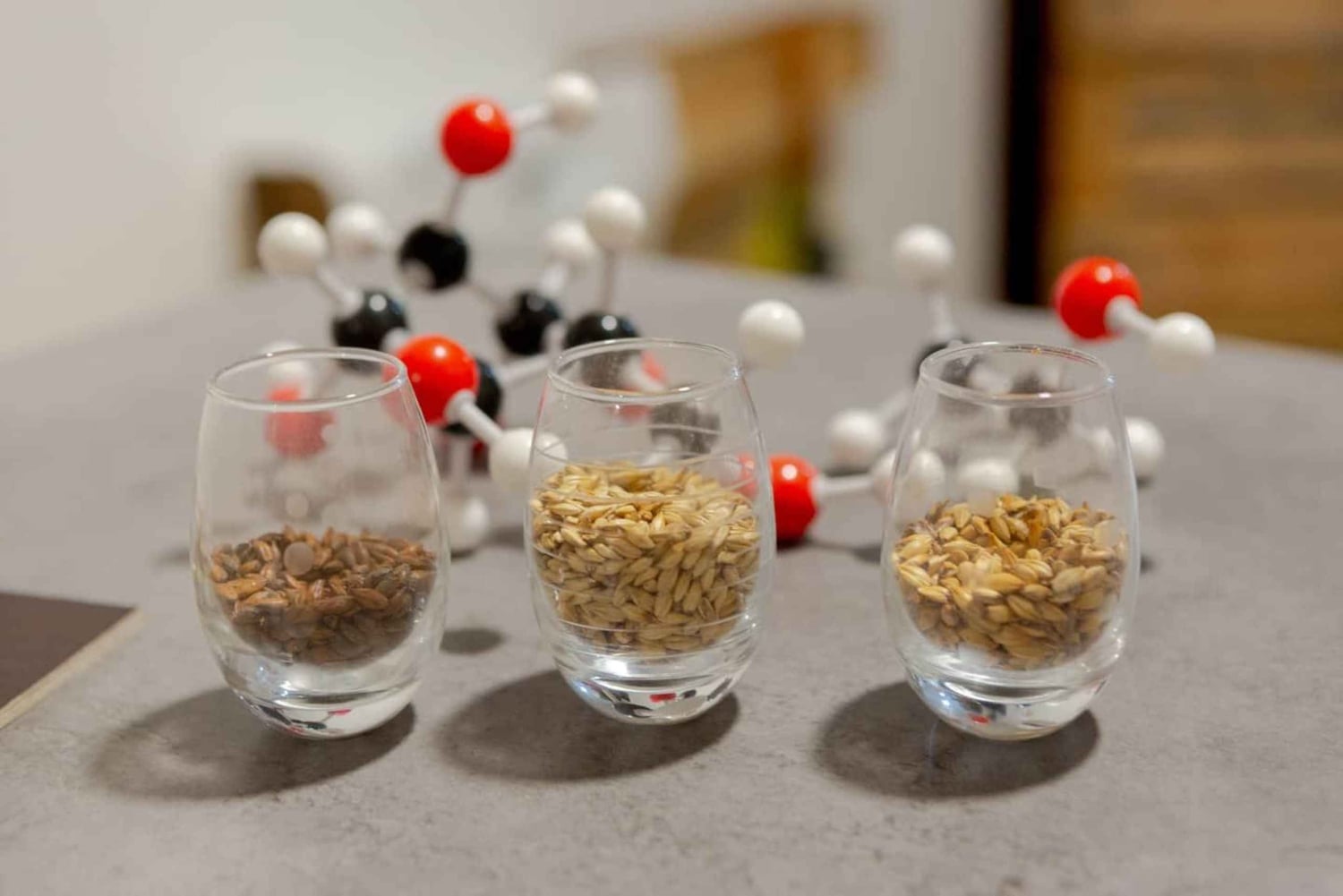 Tour of a craft brewery with tasting