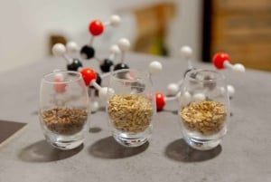 Tour of a craft brewery with tasting