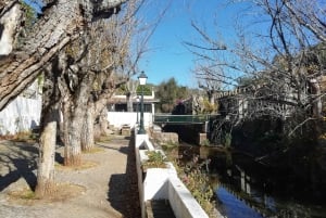 Traditionele Algarve