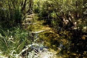 Traditionele Algarve