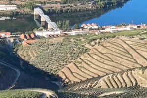 Traslado: Aeropuerto, estación de tren o terminal de cruceros ...