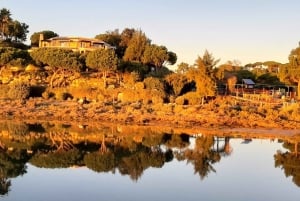 Traslado: Aeropuerto, estación de tren o terminal de cruceros ...