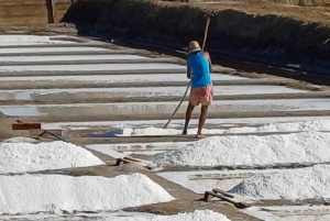 Traslado: Aeropuerto, estación de tren o terminal de cruceros ...