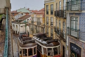 Traslado: Aeropuerto, estación de tren o terminal de cruceros ...
