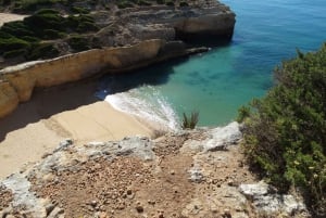 Safari Come and Discover Lagos Sagres Guided Tour