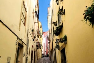 Tuk Tuk Alt-Lissabon Tour 1h30
