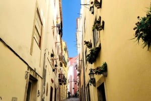 Tuk Tuk Old Lisbon Tour 1h30