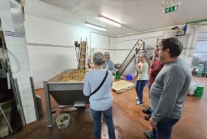 Tavira City & Ice Cream