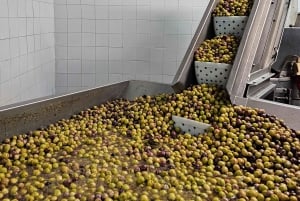 Tavira City & Ice Cream