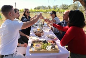 Vilamoura, Albufeira, Lagos: Algarve bergen privétour