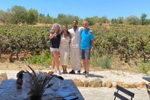 Vilamoura, Albufeira, Lagos: Algarve bergen privétour