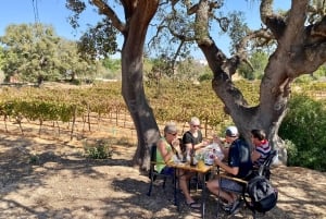 Vilamoura, Albufeira, Lagos: Excursão particular às montanhas do Algarve