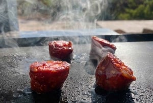 Vilamoura, Albufeira, Lagos: Excursão particular às montanhas do Algarve