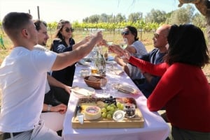 Vilamoura, Albufeira, Lagos: Excursão particular às montanhas do Algarve