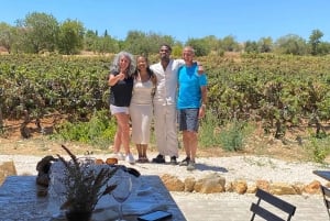 Vilamoura, Albufeira, Lagos: Excursão particular às montanhas do Algarve