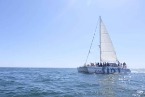 Vilamoura: Algarve 2-Hour Sailing Experience tour
