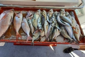 Виламора: морская прогулка к рифам Алгарве со снаряжением