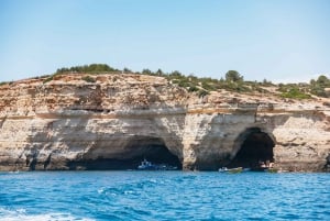Vilamoura: tour in barca della grotta di Benagil con entrata