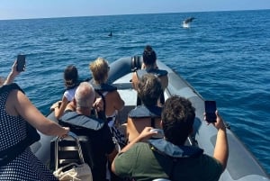 Vilamoura: Grotta di Benagil in piccolo gruppo