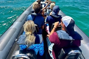 Vilamoura: Grotta di Benagil in piccolo gruppo