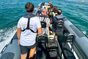 Vilamoura: Grotta di Benagil in piccolo gruppo