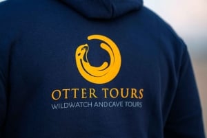 Vilamoura: Benagil-grotten en boottocht langs de kust