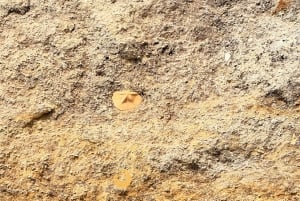 Vilamoura: Benagil-grotten en boottocht langs de kust