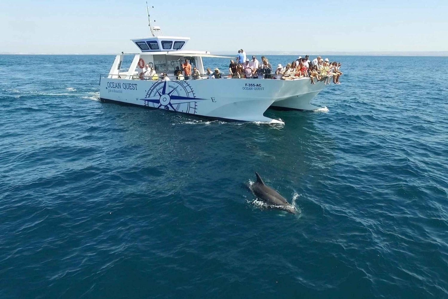 Vilamoura: Excursión en barco Dolphin Quest