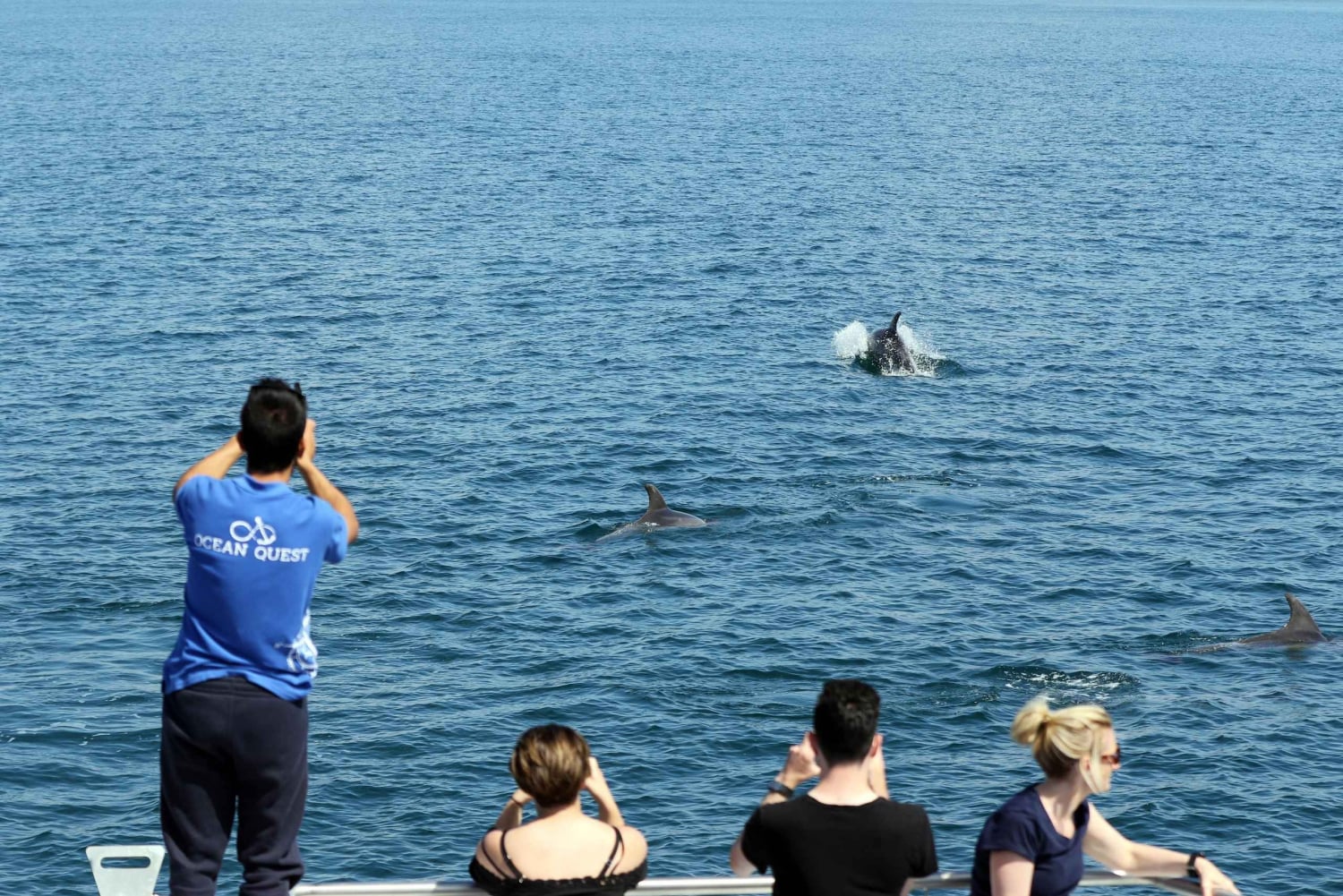 Vilamoura: Passeio de barco Dolphin Quest